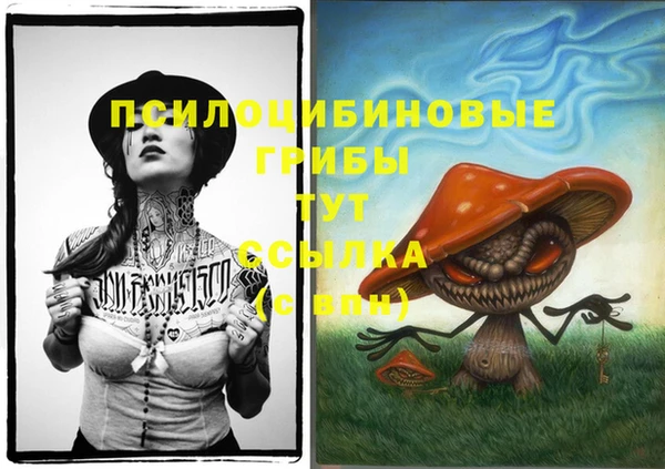 MESCALINE Богородицк